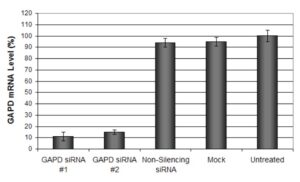 GAPDH mRNA levels